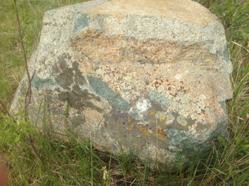 Гигантские зелёные валуны для ландшафтного дизайна весом более 5 тонн купить в Пушкино