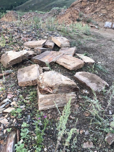 Плитняк кора дерева 50-100мм для пошаговых дорожек купить в Пушкино